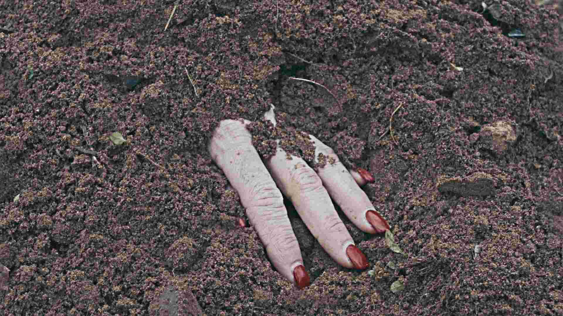 Tenebra il noir tra casi irrisolti e vendetta su Lumen TV