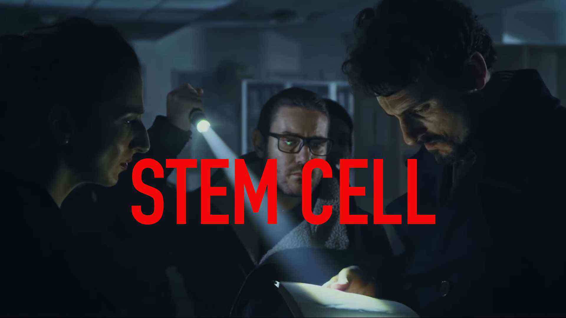 Streaming senza pubblicità: l’alternativa etica che vale il tuo tempo